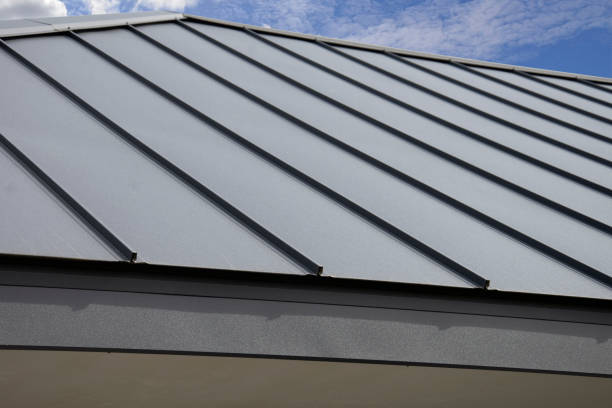 Best Metal Roofing Installation  in Pine Ridge, SC