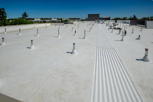 Best Steel Roofing  in Pine Ridge, SC